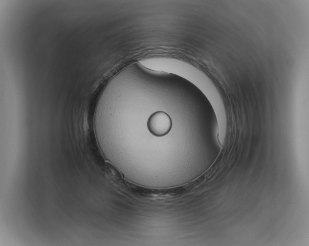 X0000112950508200909141410