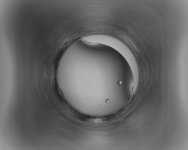 X0000112950509200909141410