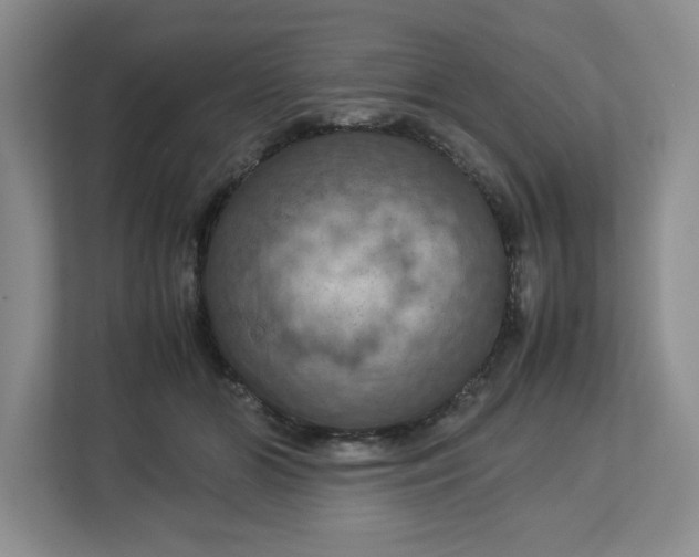 X0000112950510200909141410