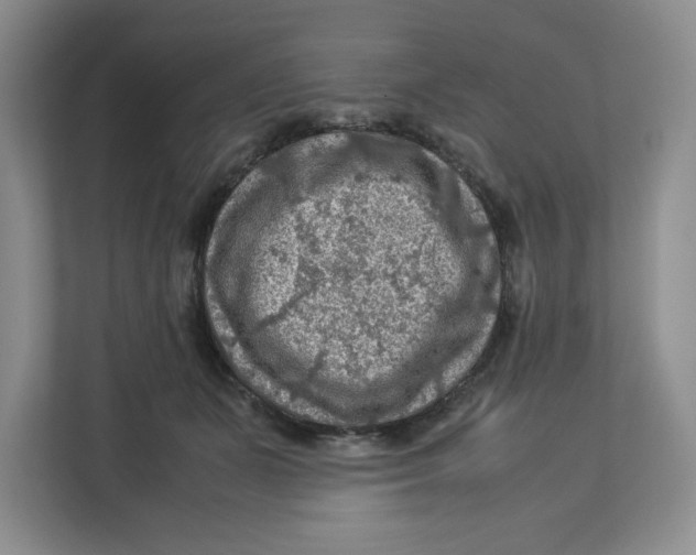 X0000112950511200909141410