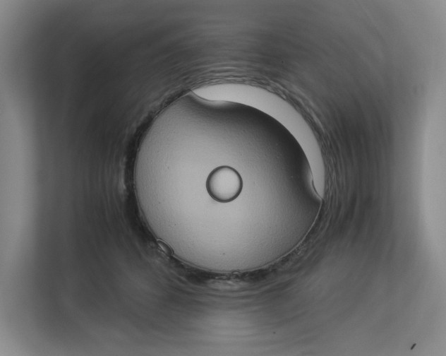 X0000112950512200909141410