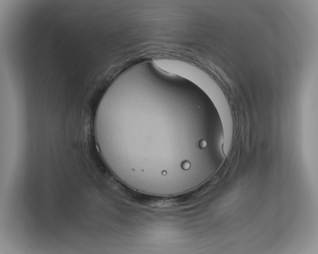 X0000112950513200909141410