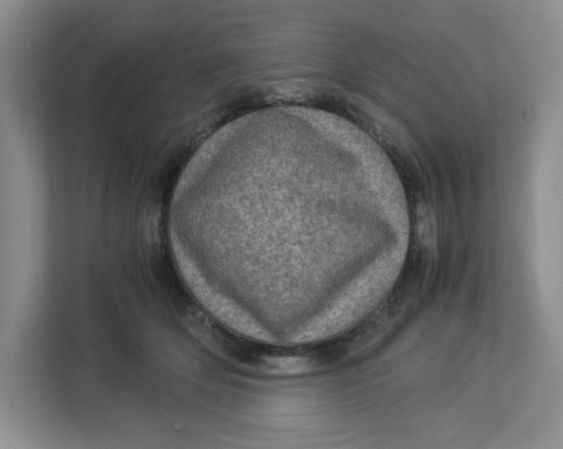 X0000112950514200909141410