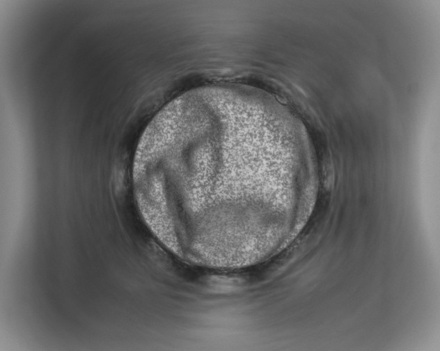 X0000112950515200909141410