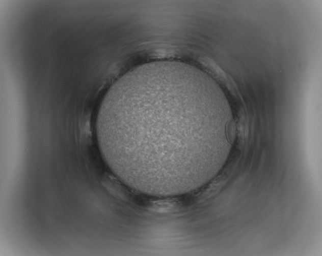 X0000112950516200909141410