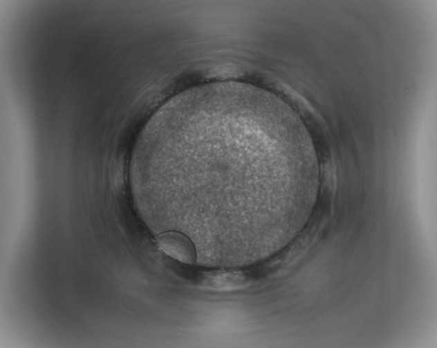 X0000112950517200909141410