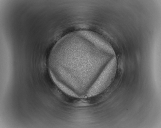 X0000112950518200909141410