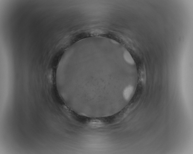 X0000112950519200909141410