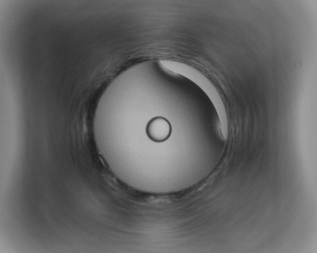 X0000112950520200909141410