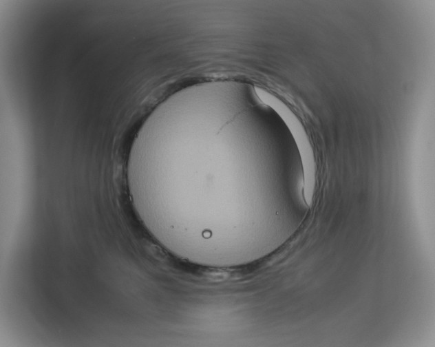 X0000112950521200909141410