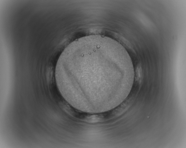 X0000112950522200909141410