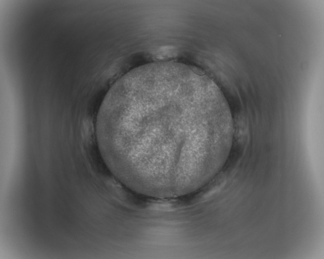 X0000112950523200909141410