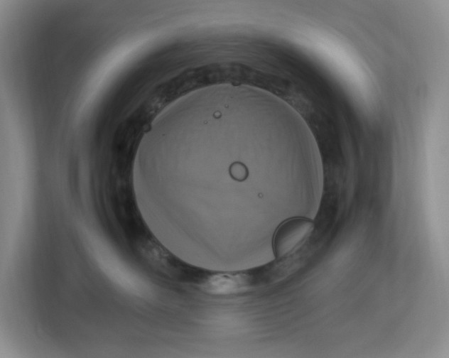 X0000112950526200909141410