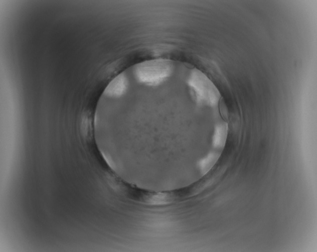 X0000112950527200909141410