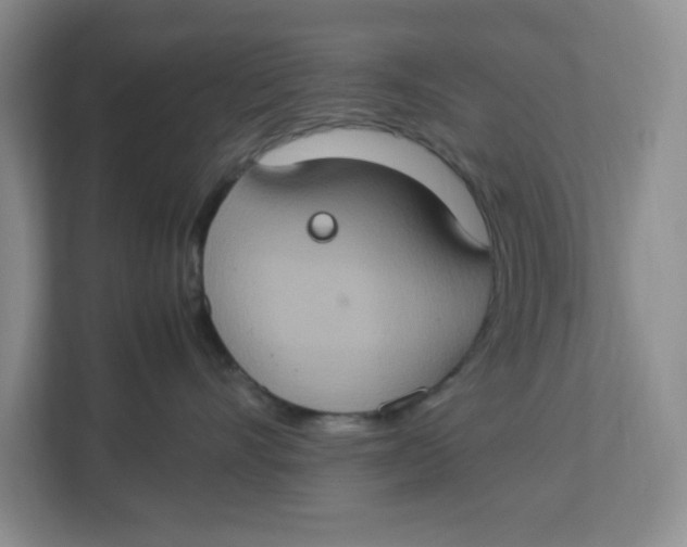 X0000112950528200909141410