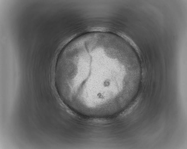 X0000112950529200909141409