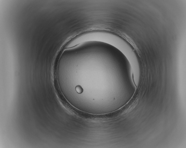 X0000112950530200909141409