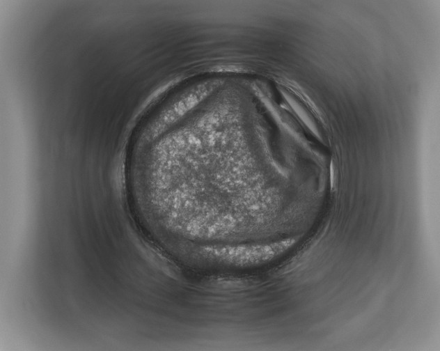 X0000112950531200909141410