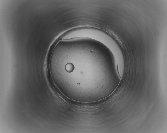 X0000112950532200909141410