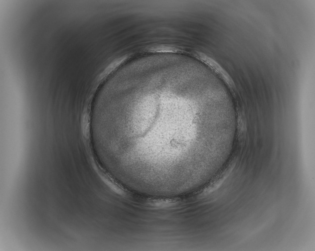 X0000112950533200909141410