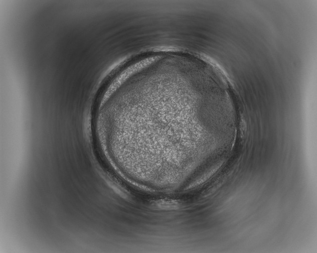 X0000112950535200909141410