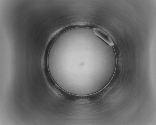 X0000112950536200909141410