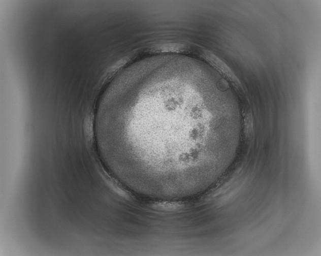 X0000112950537200909141410