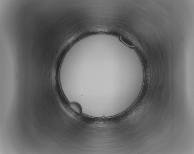 X0000112950538200909141410