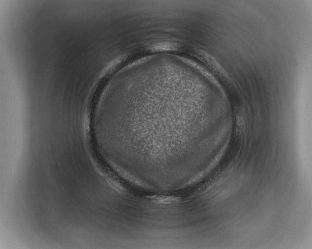 X0000112950539200909141410