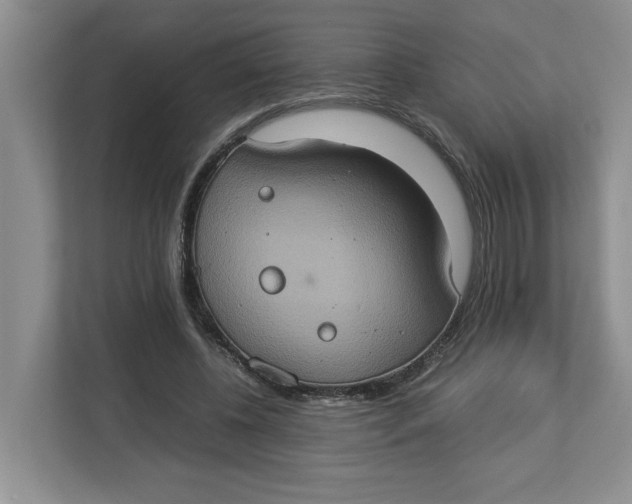 X0000112950540200909141410