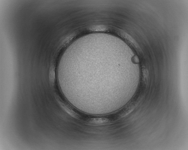 X0000112950541200909141410