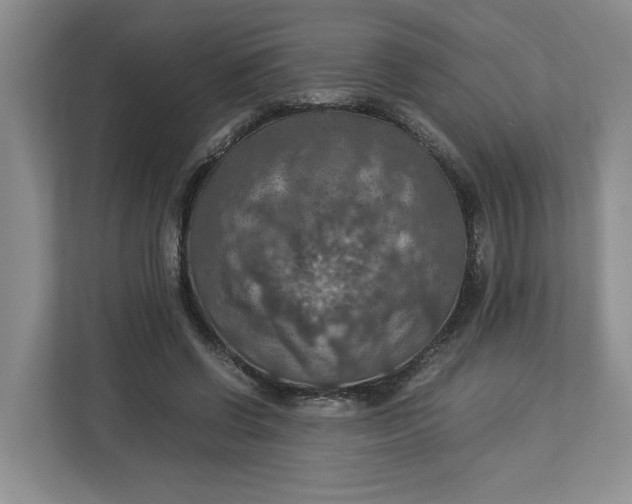 X0000112950542200909141410