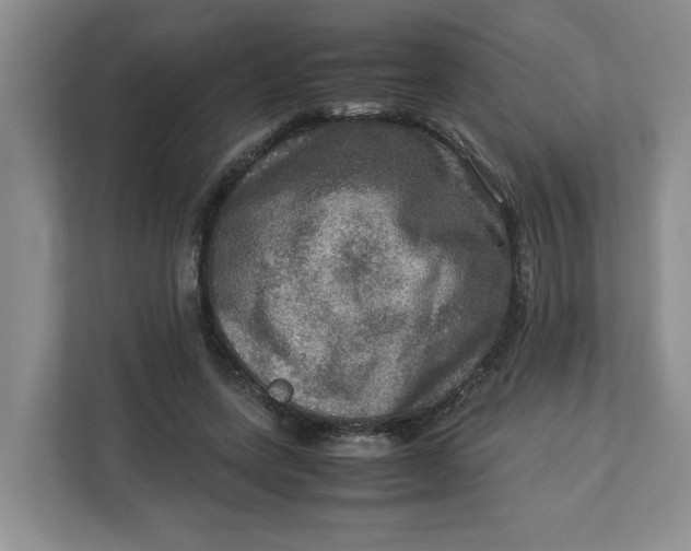 X0000112950543200909141410