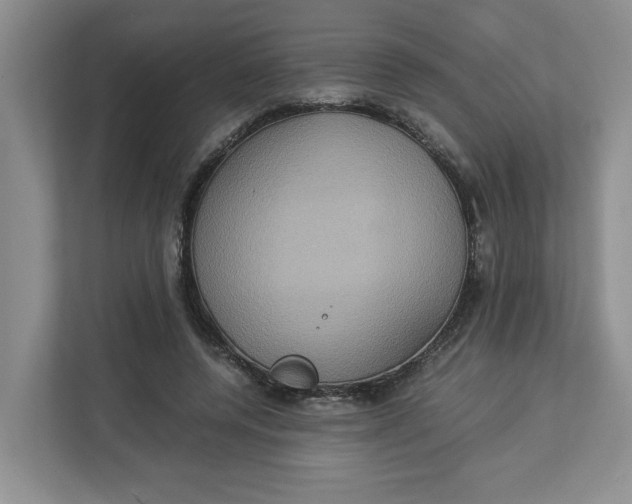 X0000112950544200909141410