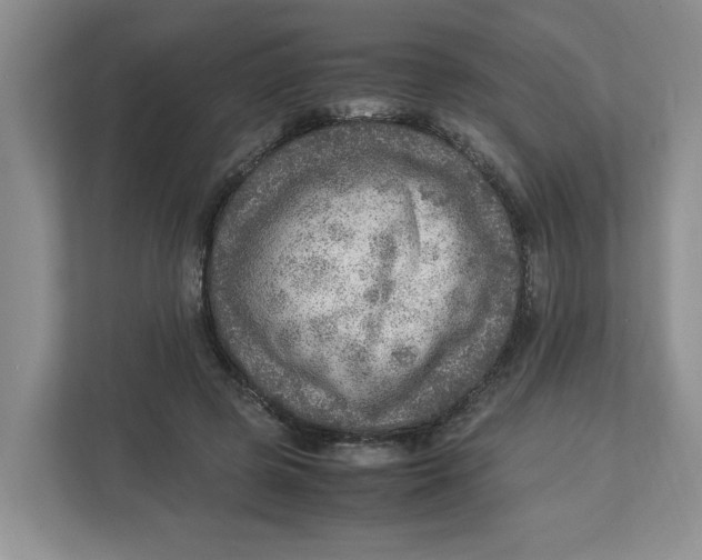 X0000112950545200909141410