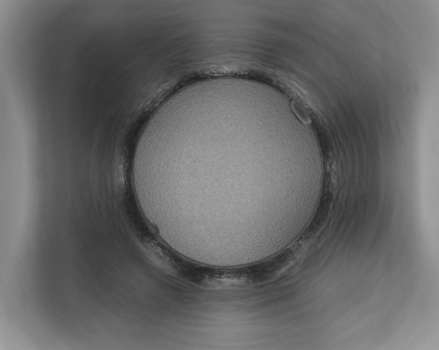 X0000112950546200909141410