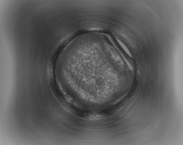 X0000112950547200909141410