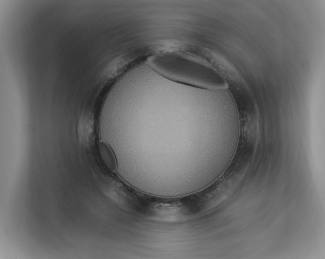 X0000112950548200909141410