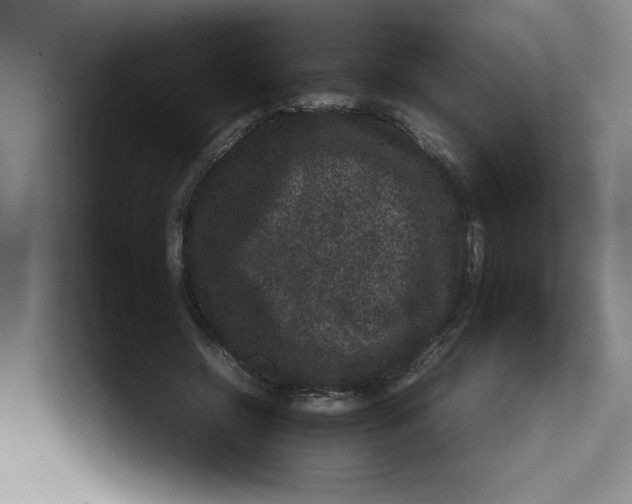 X0000112950550200909141410