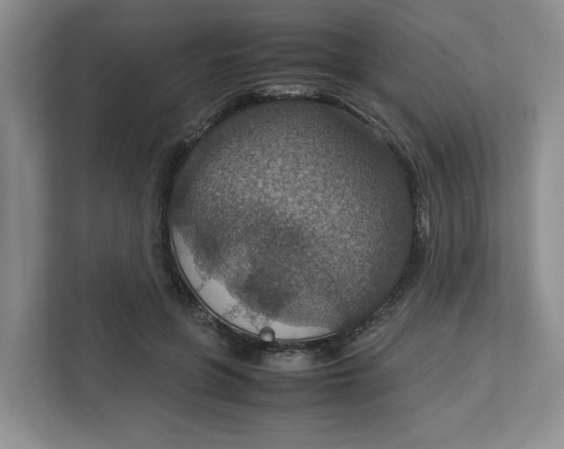 X0000112950551200909141410