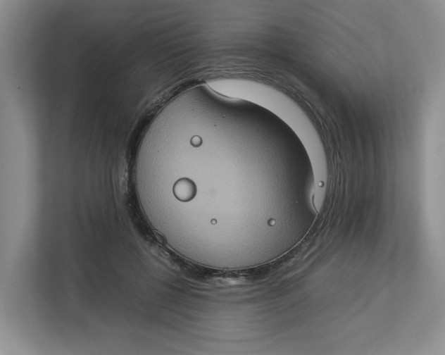 X0000112950552200909141410