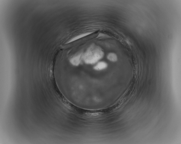 X0000112950553200909141410