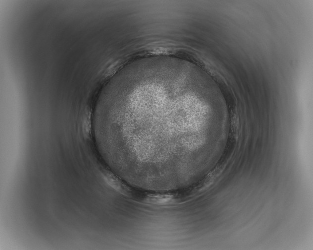 X0000112950554200909141410