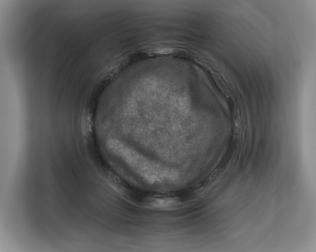 X0000112950555200909141410