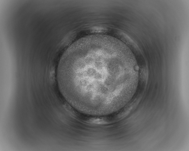 X0000112950557200909141410