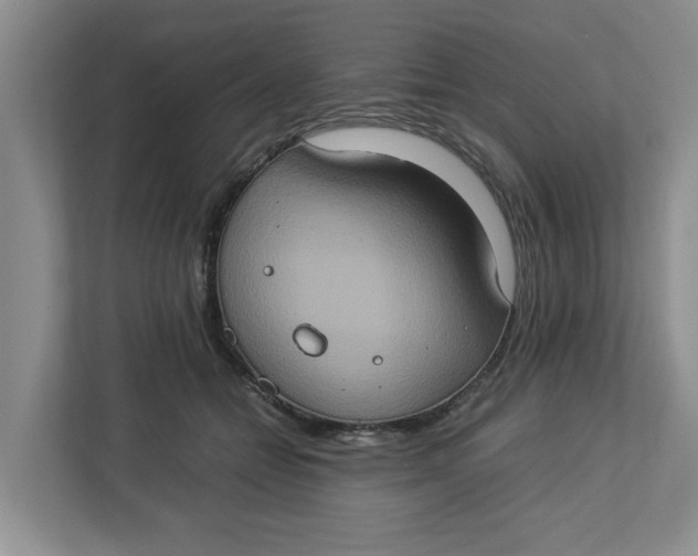 X0000112950558200909141410