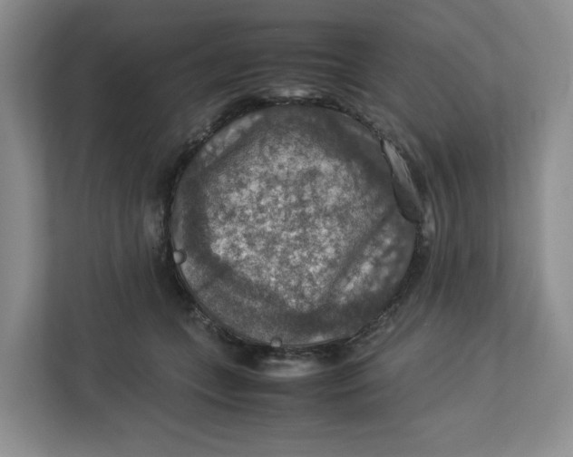 X0000112950559200909141410