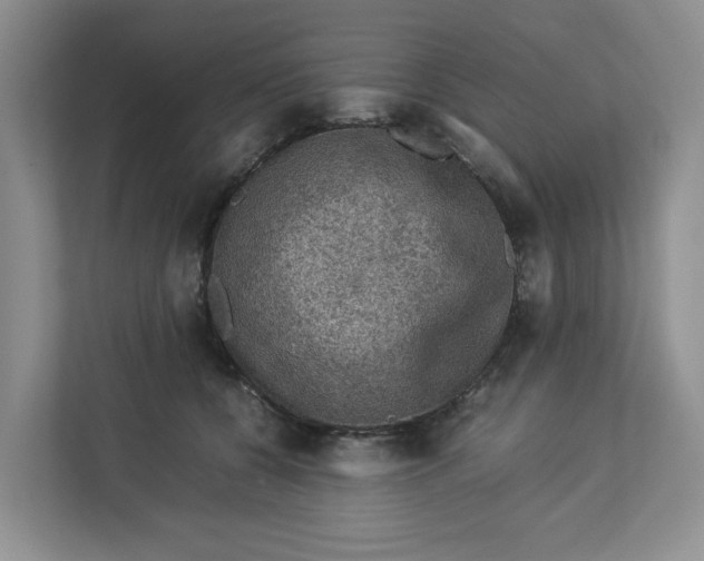 X0000112950560200909141410