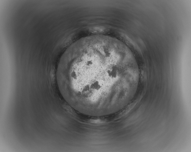 X0000112950561200909141410