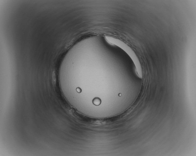 X0000112950562200909141410